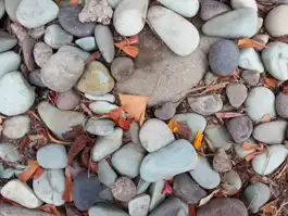 Stones: Rancho Los Alamitos